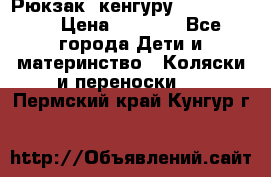 Рюкзак -кенгуру Baby Bjorn  › Цена ­ 2 000 - Все города Дети и материнство » Коляски и переноски   . Пермский край,Кунгур г.